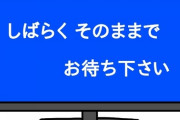 【閲覧注意】4大ヤバすぎる「放送事故」といえば「ｵｺｼﾃ…」「ロープが切れて女子アナ落下」「豊田商事」と…