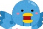 【速報】Twitter、とんでもない ”仕様” にｗｗｗｗｗｗｗｗｗｗｗｗｗｗｗｗ