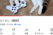 【動画】ゲーム開発YouTuber桜井政博さん、とうとう自分の猫を紹介してしまうｗｗｗｗｗｗ
