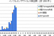 【感染確認】新型肺炎「気を付けてね。多分大丈夫だから。安心して」インフルエンザ「俺の方が格上だろ！」