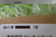 「猫草栽培キット」を愛用しているんだが、ついさっき表示の違いに気がついたんだ