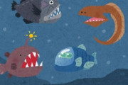 【画像】南極海の水深520～670メートルで発見された深海魚がキモすぎるωωωωωω
