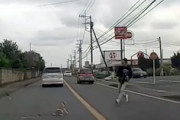【千葉】これはキツい。目の前でワンちゃんが車に轢かれてしまう動画が(°_°)