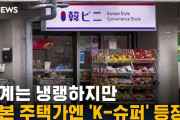 【K-○○】（韓日の）関係は冷ややかなのに･･･日本の住宅街に『K-スーパー』現る