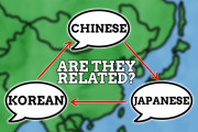 海外「似てる？違う？」日中朝（韓）の3言語の関係は?解説に興味津々