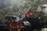 【韓国】「街路樹・電柱倒れ「ソウルあちこちも台風被害
