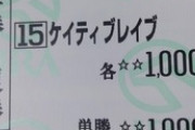 ケイティブレイブ、ミライヘノツバサ、アブレイズ、レピアーウィットみたいな大穴の見つけ方