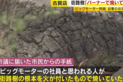 ビッグモーター、街路樹をバーナーで焼いていたｗｗｗｗｗｗｗｗ