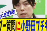 小野田大臣、昨年会見で「レアアース規制」対応問われ「仮定の質問は答えない」とピシャリ
