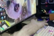 【ねこ画像】スマホをお顔で支えてくれる猫さん…解せぬという表情ですねwww