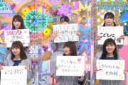 【日向坂46】メンバーが考案したひなあい企画で一番需要がありそうな企画…