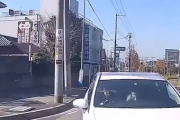 【今日のプリウス】やばすぎるプリウスの煽り運転が話題に