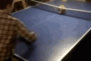 【GIF】 猫と卓球【再】