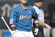 日ハム中田翔「情けないけど怖い」