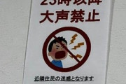 隣に配信者越して来て夜に大声で配信してたら5分おきに壁ドンするし当然管理人にも文句言うと思う