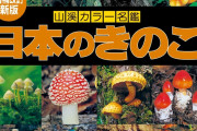 【地球ﾔﾊﾞｲ】識者「木材も大昔はプラスチックと同じで分解できなかった」マジかよすごすぎんかこれ・・・