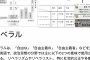 【悲報】ワイ若者のリベラル派、今の国会を見てても安倍政権を支持する理由が一向に見つからないｗｗｗｗｗｗｗｗｗｗ