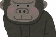 【動画】ゴリラさん、ブチギレるｗｗｗ