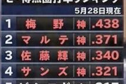 【疑問】阪神タイガースが優勝できなかった理由…