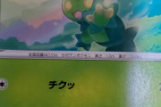 ポケモンカード詳しい人教えてくれ！！