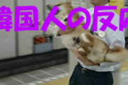 韓国人の反応「正確な運行時間と評判な日本の電車が、なんと15秒も遅れたと大騒ぎ」→さすが日本人の親切なこと　驚