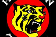 「暗黒時代の阪神タイガース」←なんかよく覚えてる選手wwwwwwwwwwwwww
