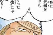 ワンピース｢全身に何百の武器を仕込んでも腹に括った”1本の槍”に敵わねぇこともある｣