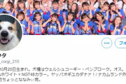 【NGT48暴行事件】人望民「犯人にマンションと家を教えたのも山口。繋がってたのも山口。酷い女だなとしか」