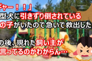 「ギャー！！」大型犬に引きずり倒されている女の子がいたので急いで救出した。現れた飼い主が何言ってるのかわからん…