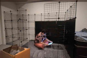 やす子、保護猫・アビシ用に作成した巨大ケージ「結局使ってない」　定位置はソファの上