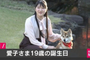 愛子様19歳に　普通に抱けそうな感じに成長ｗｗｗｗｗ （※画像あり）