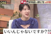 中国の帰化人はスパイ　～　「（中国の支配下になっても）いいじゃないですか！」中国出身女優　『TVタックル』での発言にスタジオ騒然…SNS「やばすぎ」