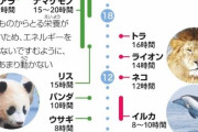 猫「一日の睡眠時間18時間です」←こいつらやる気あんの？