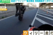 アメリカからきたユーチューバーに扇動されバイクでレインボーブリッジをウイリー走行した馬鹿12匹逮捕ｗｗｗｗｗｗｗ