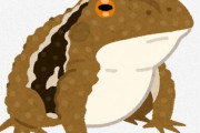 中国人「でっかいカエルやなぁ?生で喰ったろｗｗｗｗｗ」