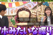 【日向坂46】ダウンタウン浜田さん「アホみたいな喋り方」加藤史帆、速攻イジられるwwww【プレバト!!】