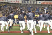 横浜DeNA逆転サヨナラ勝ち！大田同点タイムリー、最後は嶺井が決めた！！矢野監督リクエストも判定変わらず