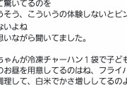 母ちゃん「冷凍チャーハン1袋で子供4人のお昼を用意してるのはフライパンで調理して白米でかさ増ししてるのよ」→バズる