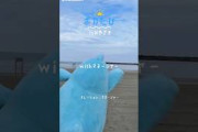 日向坂46 ポカたびin宮崎withマネージャー② 9月5日,6日『ひなたフェス 2026』開催 ！ひなたサンマリンスタジアム宮崎