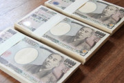 【悲報】新卒ワイ、貯金をする意味が理解できない