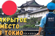 まるで都会のオアシス。日本の皇居に行ってきたよ！