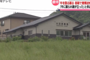 【島根県】牛さんの目を抉る等の暴行していた酪農家　ようやく書類送検