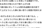 【悲報】1歳女児パパ「久しぶりに殺意湧いた」→2万ｲｲﾈｗｗｗｗ