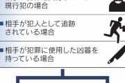 【画像】私人逮捕の要件、かなり限定的だったｗｗｗｗｗｗｗｗ