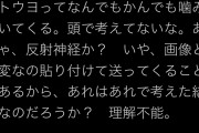 このタイミングで蓮舫をディスるとは容赦ねーな！違うの？　〜　室井ハッピー佑月「ネトウヨって何でもかんでも噛み付いてくる。頭で考えてないな。ありゃ」と自己投影