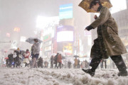 【訃報画像】東京、大雪でお亡くなりになるWiWiWiWiWiWiWiWiWiWiWiWiWiWi