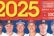 画像　日刊スポーツから発売されるプロ野球選手名鑑の表紙12球団選手がこちら