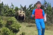 ハイキング中に遭遇したクマが少年を「追跡」→結果…