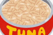 【生物濃縮】庶民の味「ツナ缶」には人の体に有害な水銀が含まれている　妊婦さんは特に気を付けて！
