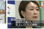 国民民主党さん　山尾志桜里という議員パスで不倫し元妻を自殺に追い込みガソリン代不正計上したゴミクズを擁立して支持率激減してしまう
